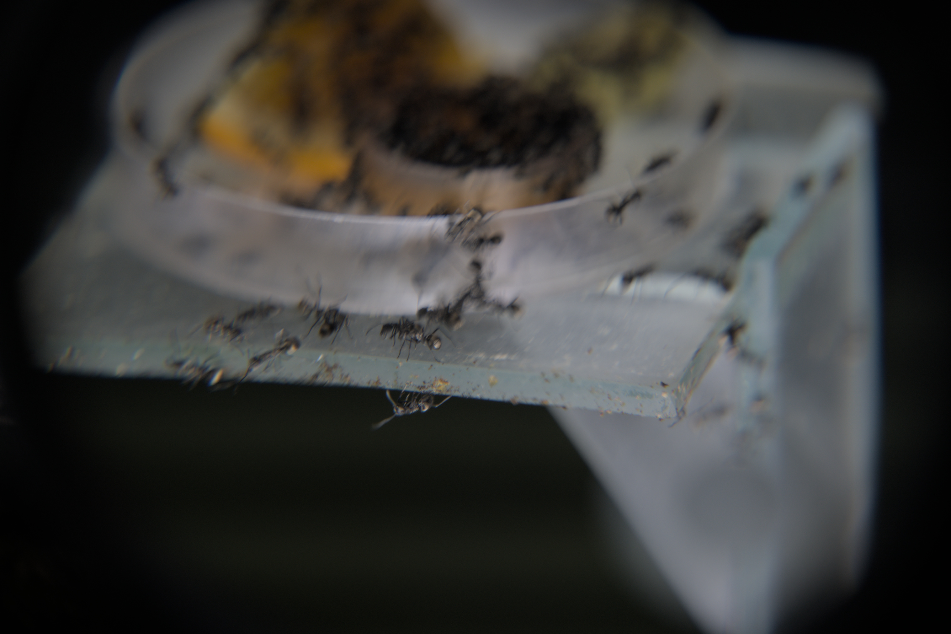 2025/10/12 - zoo/DSC_0193.jpg